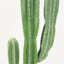 Cactus artificiel grande taille 155cm