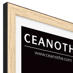 Cadre Newton noir l.13 x H.18 cm Ceanothe