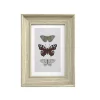 Cadre photo effet bois clair l.10 x H.15 cm Emde