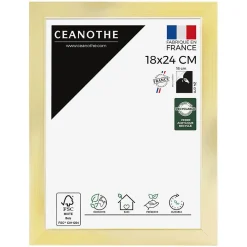 Cadre photo precious doré 18x24 cm Fabriqué en France