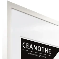 Cadre photo 50x70 cm milan blanc avec passe-partout 40x50 cm Fabriqué en France