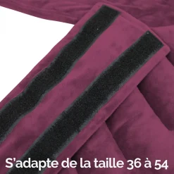 Ceinture lombaire chauffante avec bandes auto-agrippantes réglable taille 36 à 54 - Prune - Vivezen