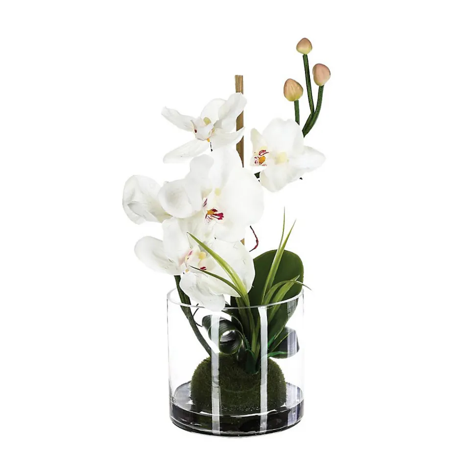 Composition d'orchidées artificielles - vase en verre - H37 cm - Blanc- Atmosphera