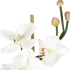 Composition d'orchidées artificielles - vase en verre - H37 cm - Blanc- Atmosphera