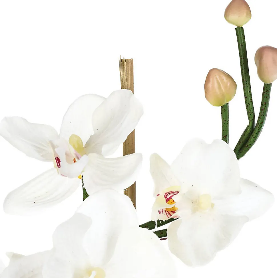 Composition d'orchidées artificielles - vase en verre - H37 cm - Blanc- Atmosphera