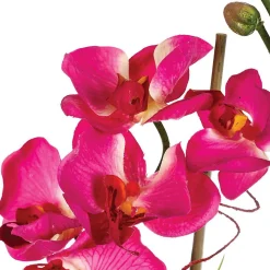 Composition d'orchidées artificielles - vase en verre - H37 cm - Blanc- Atmosphera