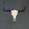 Crâne Décoratif de Buffle Blanc 55,5 cm Aluminium Tête de Taureau FineBuy