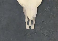 Crâne Décoratif de Buffle Blanc 55,5 cm Aluminium Tête de Taureau FineBuy