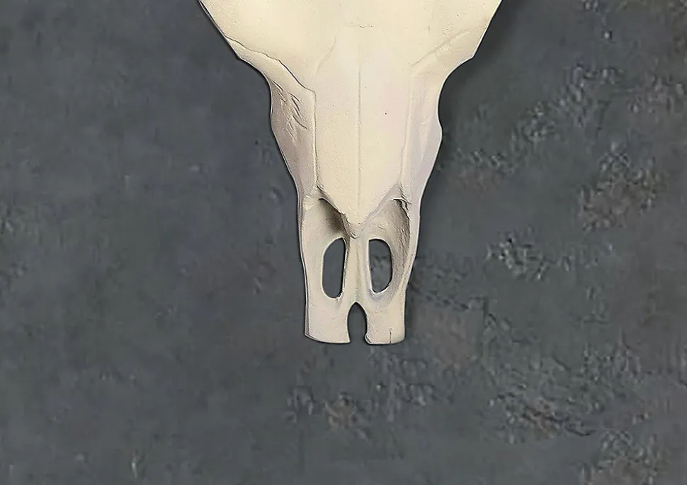 Crâne Décoratif de Buffle Blanc 55,5 cm Aluminium Tête de Taureau FineBuy