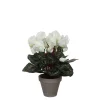 Cyclamen blanc artificiel ø30 x h.30 cm en pot Stan gris ø11,5 cm