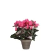 Cyclamen rose clair artificiel ø30 x h.30 cm en pot Stan gris ø11,5 cm