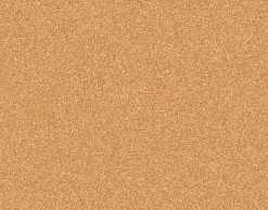 Dalle liège autocollante l.40 x H.50 cm