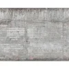 Décor mural intissé Design walls concrete wall - 5 lés