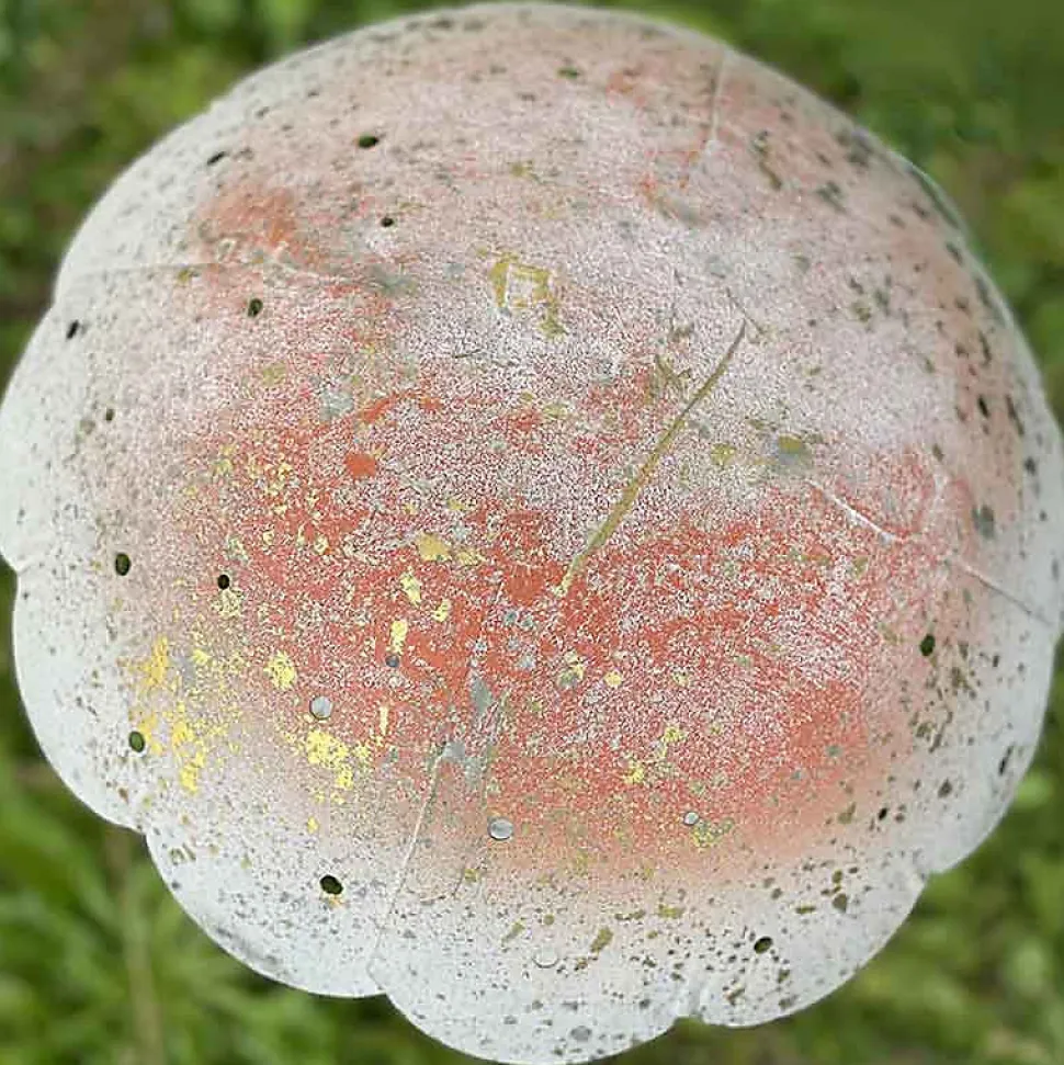 Décoration champignon 24x24x44cm