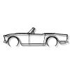 DÉCORATION MURALE EN MÉTAL - Silhouette de voiture - TR4A IRS - 100 CM