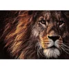 Décoration murale lion verre trempe marron 120x1x100cm