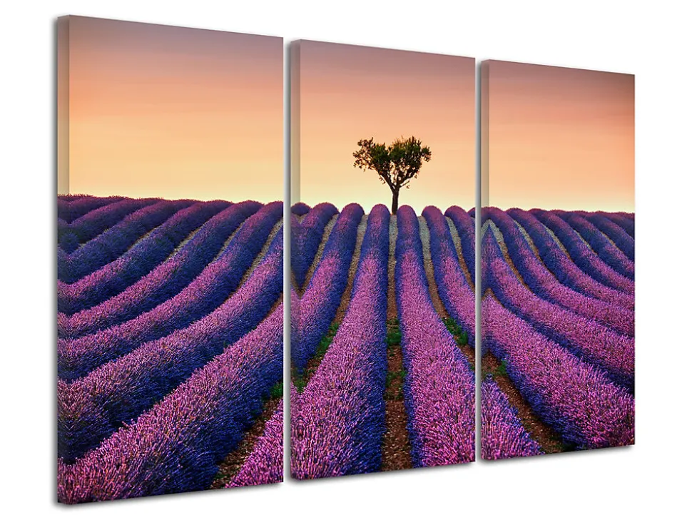 DECLINA, Tableau toile imprimée Paysage, Tableau triptyque Champs de Lavande, 90x60 cm
