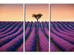 DECLINA, Tableau toile imprimée Paysage, Tableau triptyque Champs de Lavande, 90x60 cm