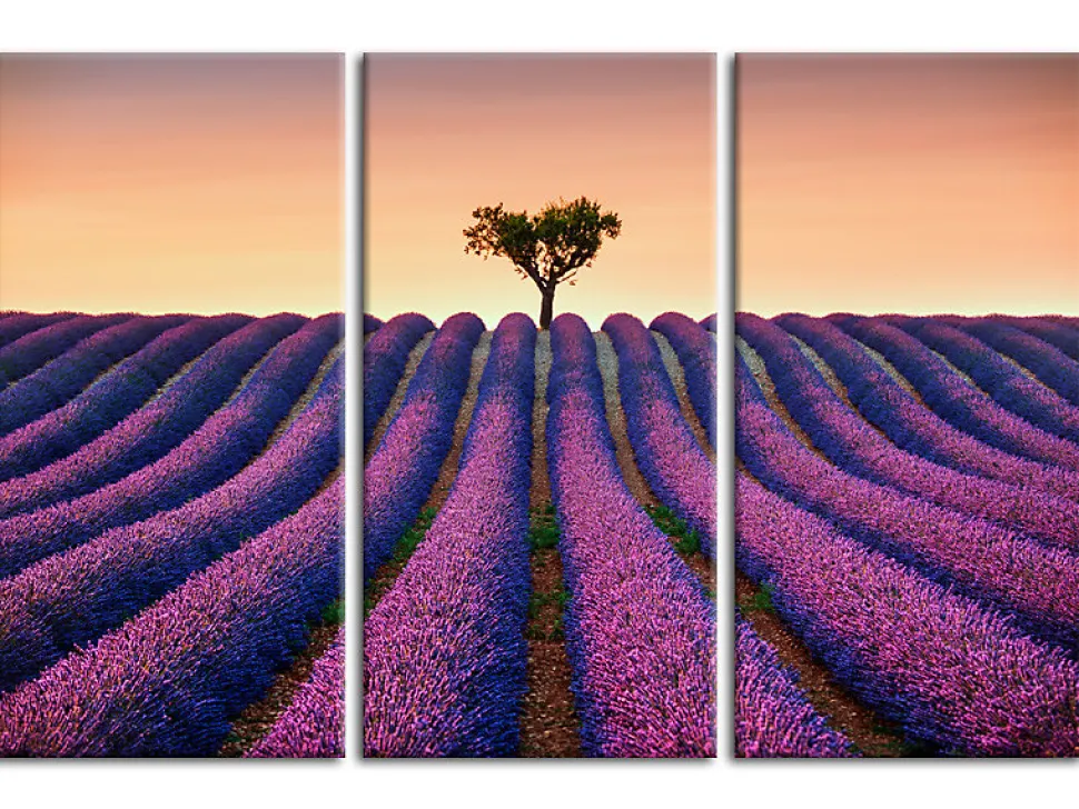 DECLINA, Tableau toile imprimée Paysage, Tableau triptyque Champs de Lavande, 90x60 cm