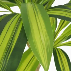 Dracena artificiel toucher naturel 80cm