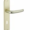 Ensemble de poignées pour porte intérieure Maia trou de clé, entr'axes 195mm, couleur F2 - SP