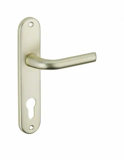 Ensemble de poignées pour porte d'entrée Leto trou de cylindre, carré 7mm, entr'axes 165mm, couleur F2 - THIRARD