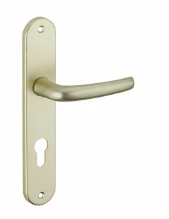 Ensemble de poignées pour porte d'entrée Maia à trou de cylindre, entr'axes 195mm, couleur F2 - SP