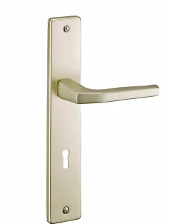 Ensemble de poignées pour porte intérieure Picardie trou de clé, carré 8mm, entr'axes 195mm, couleur champagne - THIRARD