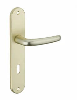 Ensemble de poignées pour porte intérieure Maia trou de clé, carré 7mm, entr'axes 195mm, couleur F2 - THIRARD
