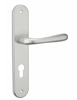 Ensemble de poignées pour porte d'entrée Pelope trou de cylindre, carré 7mm, entr'axes 195mm, argent - THIRARD