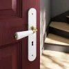 Ensemble poignée sur plaque Droit serrure GoodHome Porcelaine Vras blanc L.115mm x l.45mm entraxe 195mm