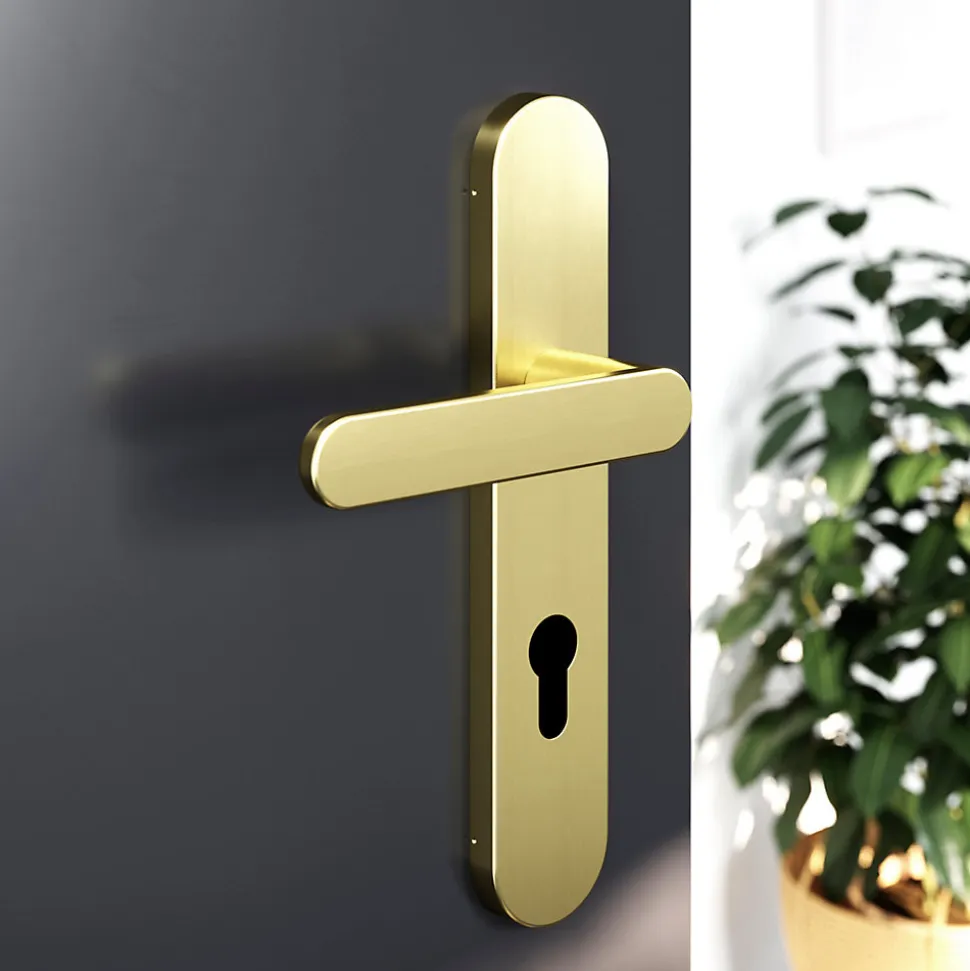 Ensemble poignée sur plaque rondcylindre GoodHome Minzh effet laiton satin doré L.120mm x l.42mm entraxe 165-195mm