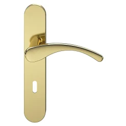 Ensemble poignée sur plaque rond serrure GoodHome Ruis effet laiton doré L.138.5mm x l.42mm entraxe 165-195mm