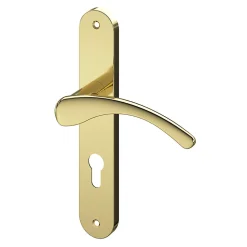 Ensemble poignée sur plaque rond GoodHome Ruis effet laiton doré L.138.5mm x l.40mm entraxe 195mm