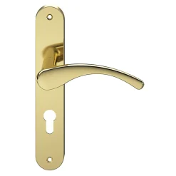 Ensemble poignée sur plaque rond GoodHome Ruis effet laiton doré L.138.5mm x l.40mm entraxe 195mm