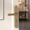 Ensemble poignée sur plaque rondcylindre GoodHome Tudy effet laiton brillant doré L.119mm x l.41mm entraxe 195mm