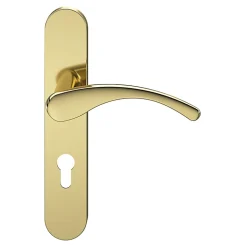 Ensemble poignée sur plaque rondcylindre GoodHome Ruis effet laiton doré L.138.5mm x l.42mm entraxe 165-195mm