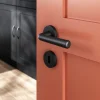 Ensemble poignée sur rosace rond à visser GoodHome Dizel mat noir Ø50mm