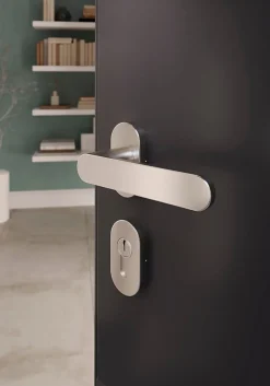 Ensemble poignée sur rosace à visser GoodHome Minzh effet nickel satin gris Ø63mm