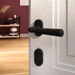 Ensemble poignée sur rosace à visser GoodHome Kilhog noir Ø63mm