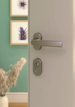 Ensemble poignée sur rosace Incurvé à visser GoodHome Primel effet nickel satin gris chromé