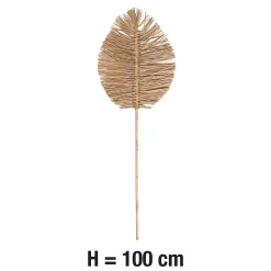 Feuille de raphia séchée XL H.100cm JBY Creation