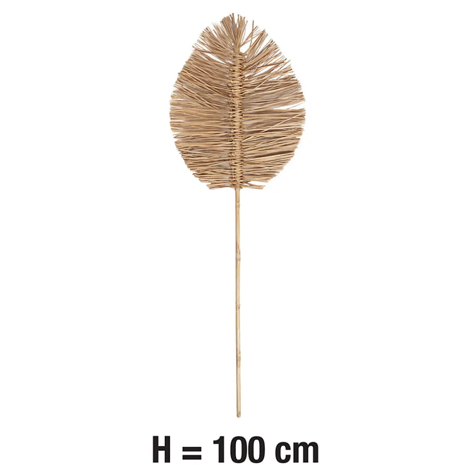 Feuille de raphia séchée XL H.100cm JBY Creation