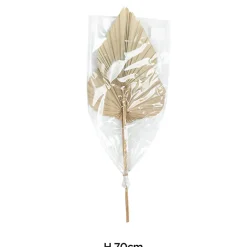 Feuilles décoratives de palmier sechées XL H.70cm, 2 pièces JBY creation