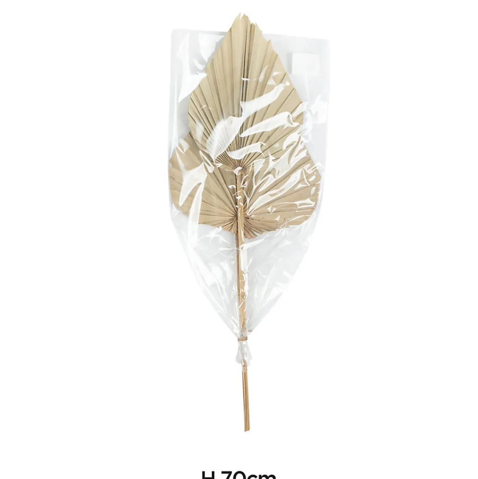 Feuilles décoratives de palmier sechées XL H.70cm, 2 pièces JBY creation