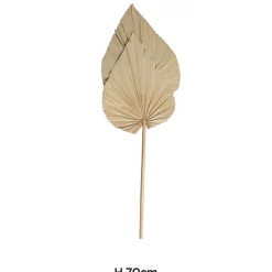 Feuilles décoratives de palmier sechées XL H.70cm, 2 pièces JBY creation