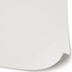 Fibre de verre lisse à peindre Diall 195g/m² L.15 m (Vendu au rouleau)