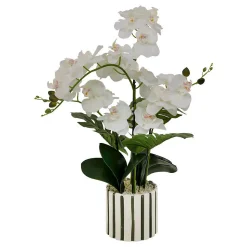 Fleur Artificielle Asia Orchidée H81 cm Pot en Grès Vert - Atmosphera
