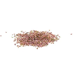 Fleurs séchées décoratives Bruyère 10 g
