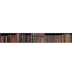 Frise adhésive autocollante 15 cm X 300 cm, style rustique, décorative, collection de livres anciens, décoration murale intérieure